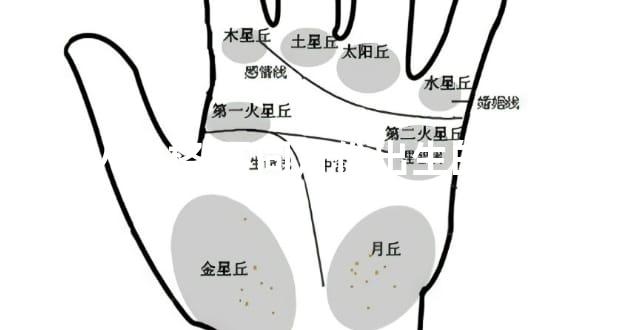 虎人命格 不同月份出生的命运